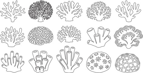 Collection of Hand Drawn Sea Coral Reef Icons Vector Illustration © Vector 4 You