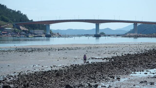 Scenic view of a peaceful Korean southern sea fishing village with local fisherman boats, mudflats, and islands in Namhae / 한국 남해바다 어촌 마을 풍경, 어민들의 고기잡이 배와 평화로운 섬, 갯벌 해안가 풍경 영상