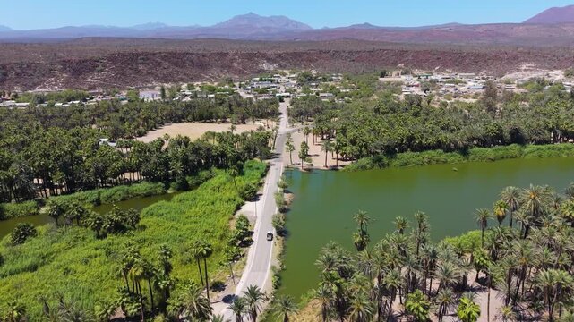 A compelling high-angle aerial view tracking a rural asphalt road across a green river and dense palm groves leading into a desert oasis town.