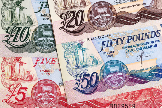 Falkland Islands  pound a business background