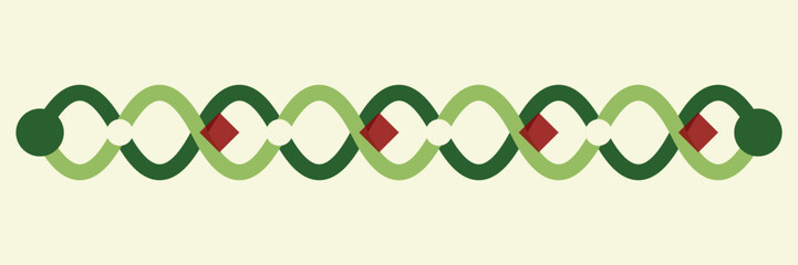 Celtic knot border vector, interlaced green rope pattern with red diamond accents, traditional decorative trim for invitation and frame design © maheel