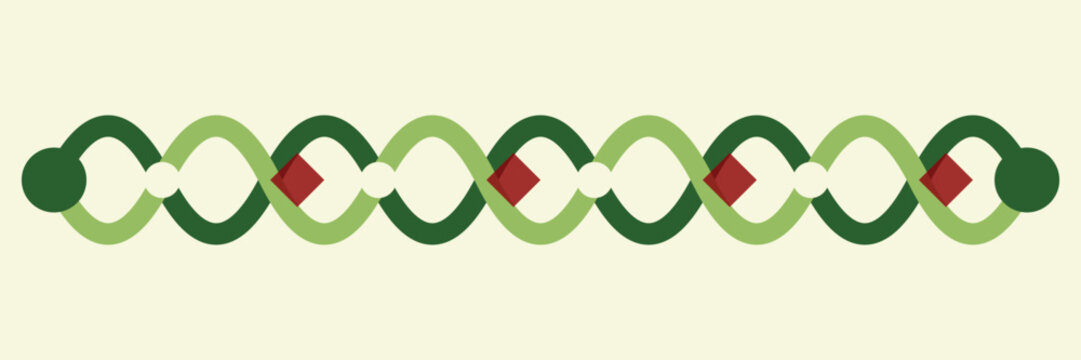 Celtic knot border vector, interlaced green rope pattern with red diamond accents, traditional decorative trim for invitation and frame design