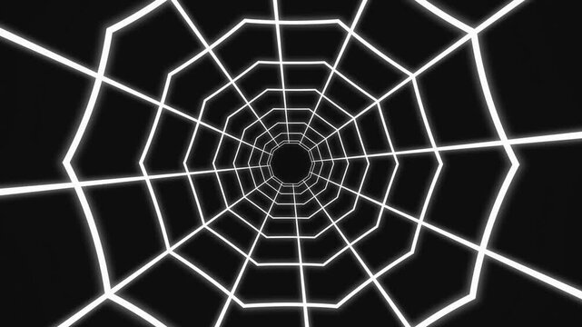 Black and White 3D Wireframe Spiderweb Tunnel Flythrough Motion Background
