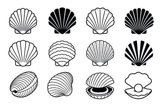 Seashell icon set with various scallop shells and pearl oysters in black and white line art style for marine design