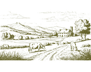 Spacious pastures on hills. There are mountains and forests on the horizon. Cows graze in field, grass and bushes in the foreground. Vector illustration. Sketch is linear drawing on a white background © Elena