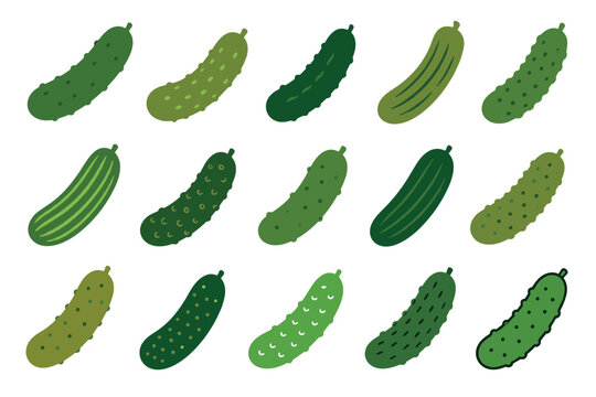 Green cucumber vector illustration set featuring various hand drawn fresh gherkins and pickles with different textures and shades of green