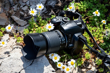 Cámara réflex en el suelo con flores, margaritas. © Menorcaevo
