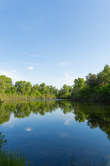 Obraz premium Bright blue sky reflects on calm water of a lake surrounded by green trees in the afternoon