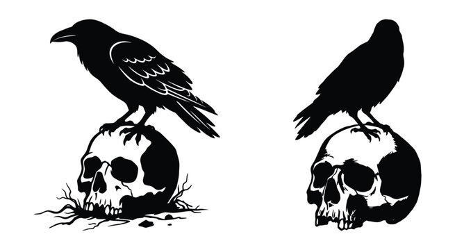 Black Ravens Perched On Skulls Silhouette Illustration With White Background