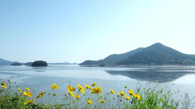 Scenic view of a peaceful Korean southern sea fishing village with local fisherman boats, mudflats, and islands in Namhae / 한국 남해바다 어촌 마을 풍경, 어민들의 고기잡이 배와 평화로운 섬, 갯벌 해안가 풍경 영상