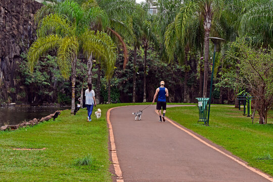 People walking their dogs in the public park in Ribeirao Preto, Sao Paulo, Brazil
