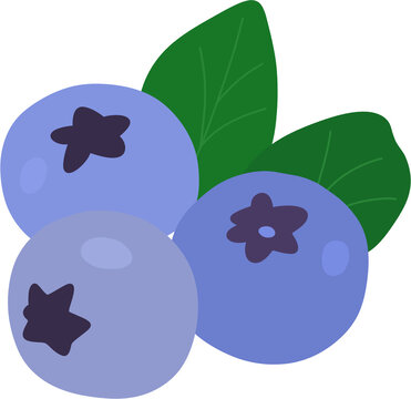 Blueberry