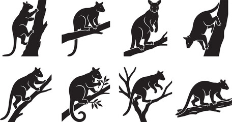 Obraz premium Tree kangaroo silhouette set, Australian marsupial climbing branches vector icons, black wild animal silhouettes, 8 wildlife elements isolated on Transparent Background