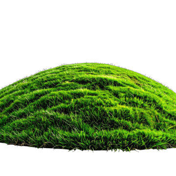 A vibrant green grassy mound against a stark black background.