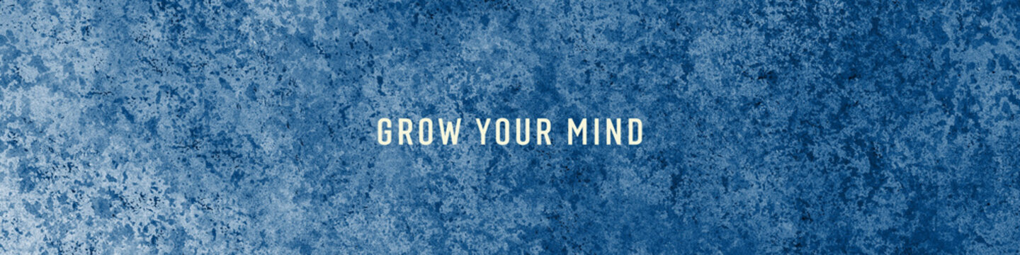 LinkedIn Banner for Professional Profiles.