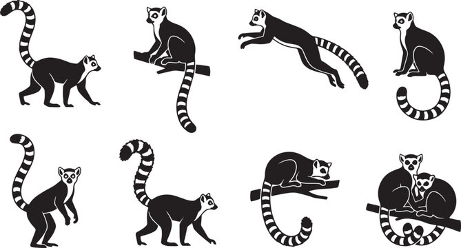 Ring-tailed lemur silhouette collection, set of 8 black and white lemur vector icons, wild Madagascar primate animal graphics isolated on Transparent Background