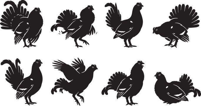 Black grouse silhouette vector set, wood grouse bird icons in various poses, 8 wild forest bird illustrations for hunting and nature design isolated on Transparent Background