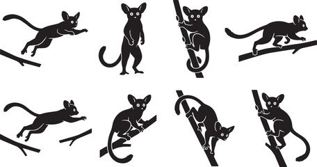 Obraz premium Bushbaby silhouette vector collection, 8 galago primate icons in various poses, black nocturnal animal shapes for wildlife design isolated on Transparent Background