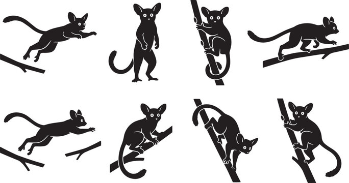Bushbaby silhouette vector collection, 8 galago primate icons in various poses, black nocturnal animal shapes for wildlife design isolated on Transparent Background