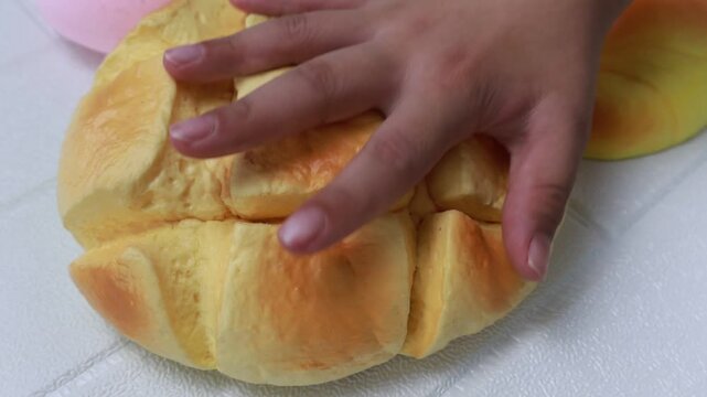 Soft foam Toy squishy Compression and Rebound Cycle