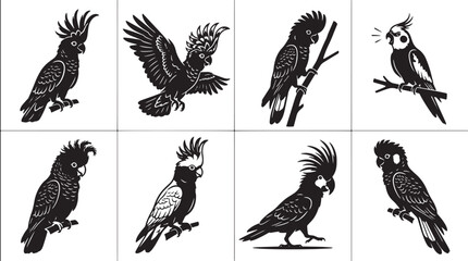 Obraz premium Cockatoo silhouettes, black bird illustrations, parrot vector icons, 8 animal graphics isolated on Transparent Background
