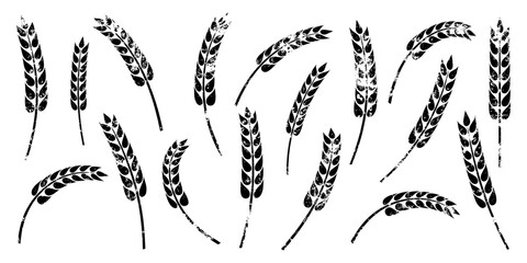 Fototapeta premium Set ears of wheat, rye or barley, agriculture and harvest, black isolated silhouette on white background, vector drawing