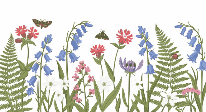 Botanical illustration of a wildflower meadow border featuring bluebells, red campion, white daisies, green ferns, moths, and a ladybug isolated on a white background.