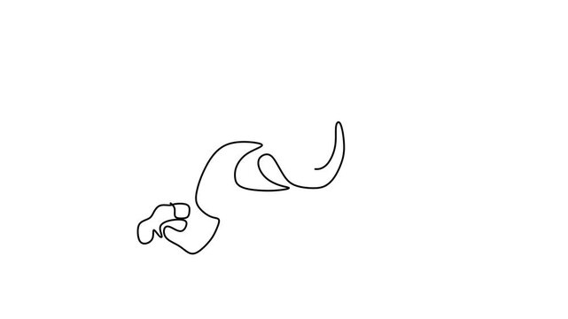 Animated self drawing of continuous line draw of     Attractive slim sportswoman workout with abdominal roller in gym. Full length one line animation. 4K