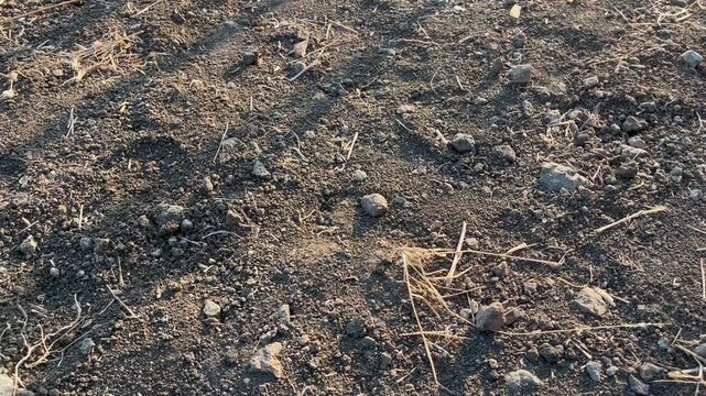 Close up of dry gravel soil texture on agricultural land