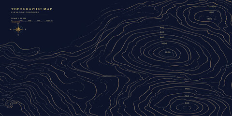 Detailed topographic map concept with compass rose topography navigation cartography geography elevation abstract background geometry direction orientation exploration plotting technical © MOHAMAD