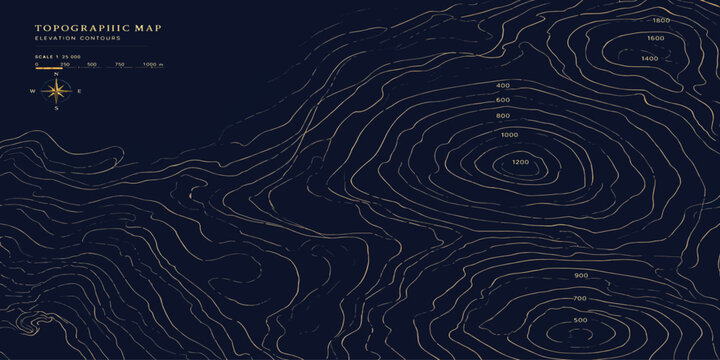 Detailed topographic map concept with compass rose topography navigation cartography geography elevation abstract background geometry direction orientation exploration plotting technical