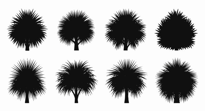 Set of eight black palm tree silhouettes featuring various species of fan palms and tropical bushes with spiky fronds, isolated on a white background for graphic design and layout.