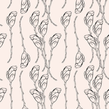 Vector magnolias buds linear seamless pattern. Many flowers branches with big burgeons.Vintage hand drawn botanical background. Elegant textile print design. Contour ink sketch. Simple cute plant art