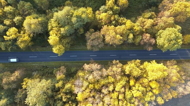 Scenic forest pathway with single car in autumn colors