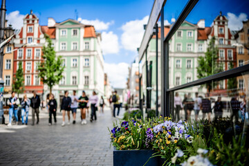 Obraz premium Wroclaw historic street on a bright day with people