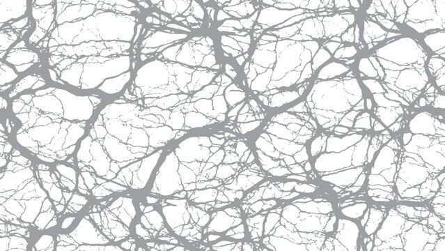 Realistic fracture line texture with rugged earth cracks Distressed ground crack vector for destruction effects