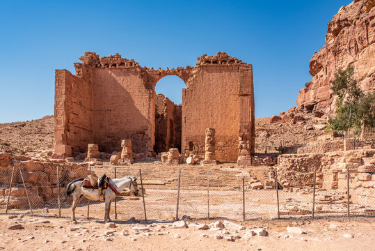Ruins of Qasr al-Bint temple with a horse in the foreground in Petra, Jordan