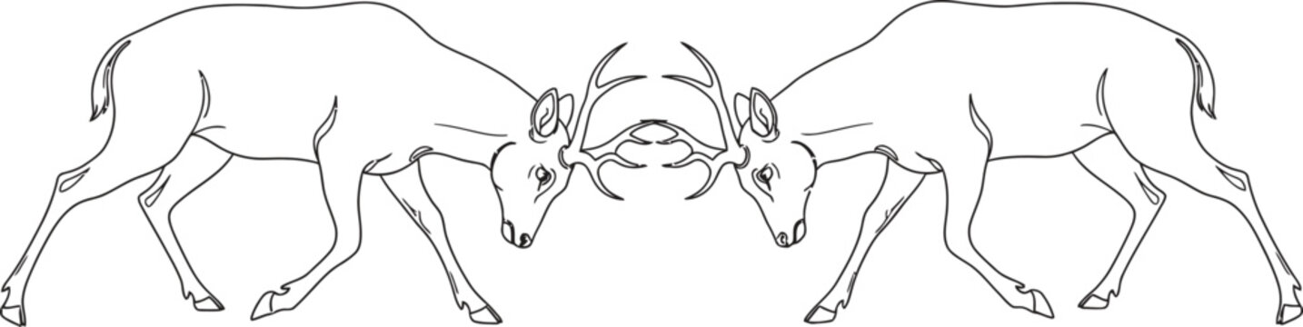 Line drawing of three deer with antlers facing each other headon