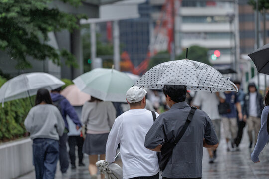 Back view of pedestrians walking with umbrellas along a wet urban sidewalk on a rainy, overcast day.