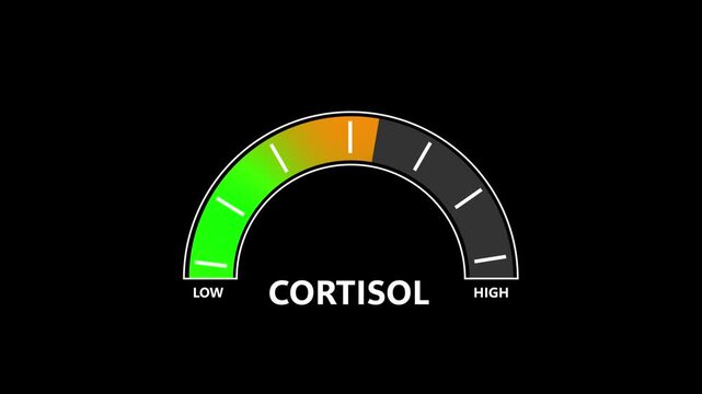 Gauge indicator animation displays healthy hormone diagnostic metrics. Medical laboratory analysis tools implement a gauge indicator animation dashboard. Accurate gauge indicator animation screen view