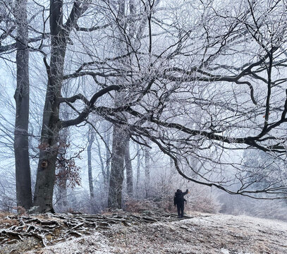 Wanderer am Waldrand an einem Weg auf den Dandlberg, Samerberg, Alpen, Bayern, Deutschland