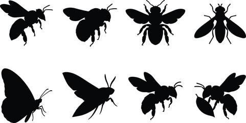 Flying Insect Silhouette Collection Featuring Bees Butterflies Moths and Wasps Isolated on White Background © Maya