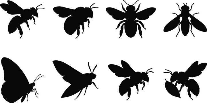 Flying Insect Silhouette Collection Featuring Bees Butterflies Moths and Wasps Isolated on White Background