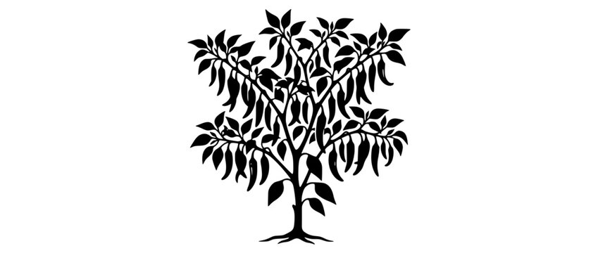 Black silhouette of a chili pepper plant with hanging peppers