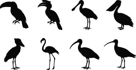 Water Bird Silhouette Collection Featuring Toucan Hornbill Pelican Flamingo and Ibis Isolated on White Background © Maya