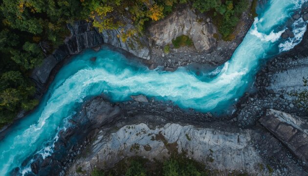 An aerial view of a river running through a lush green forest