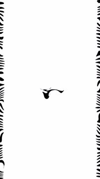 Liquid Circle Mask Transition Overlay Wavy Zebra Texture Organic Shape Reveal Alpha Channel 4k video
