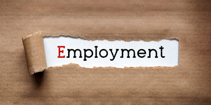 Employment - torn strip of brown kraft paper