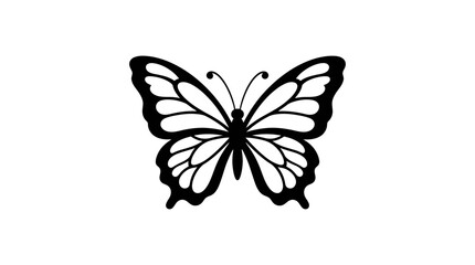 Black butterfly silhouette on a white background simple graphic design © Sekh