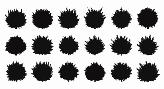 Collection of eighteen black silhouettes of juniper bushes and evergreen shrubs isolated on a white background, featuring various shapes and dense branch textures for landscape design.
